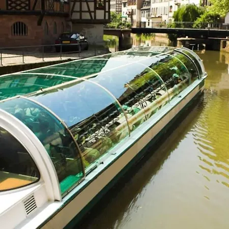 Apartament Cosy Au Coeur De Strasburg