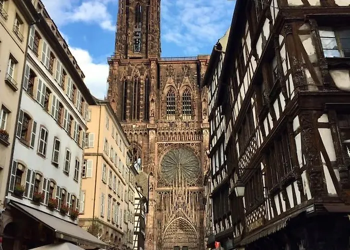 Cosy Au Coeur De Strasbourg