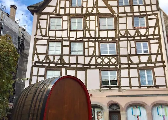 Cosy Au Coeur De 公寓