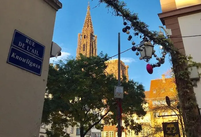 Cosy Au Coeur De Apartman Strasbourg
